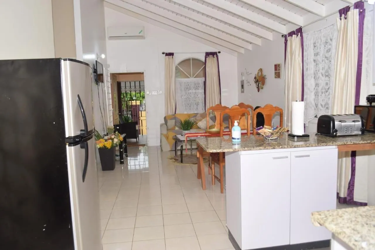 Rhyne Park Inn Montego Bay 0*,